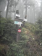 PB210035.JPG