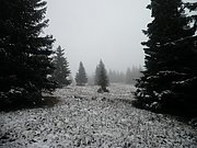 PB210044.JPG