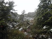 PB210050.JPG