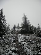 PB210058.JPG