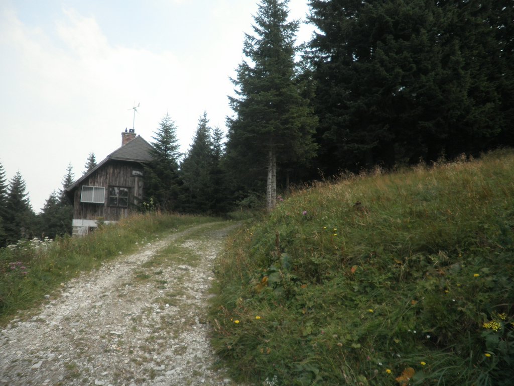 P9030002.JPG