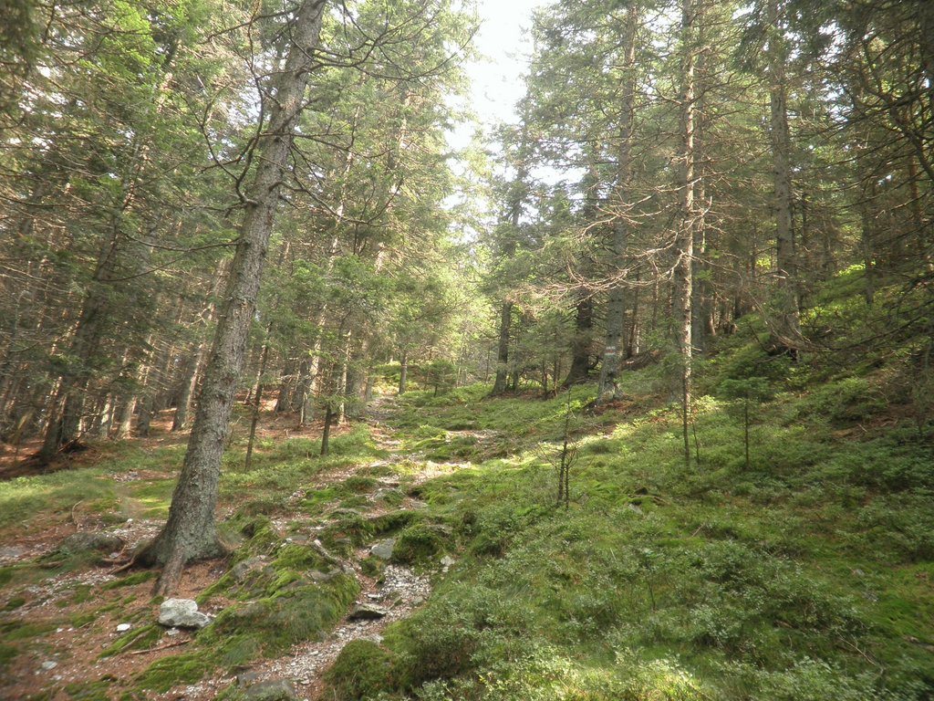 P9030005.JPG