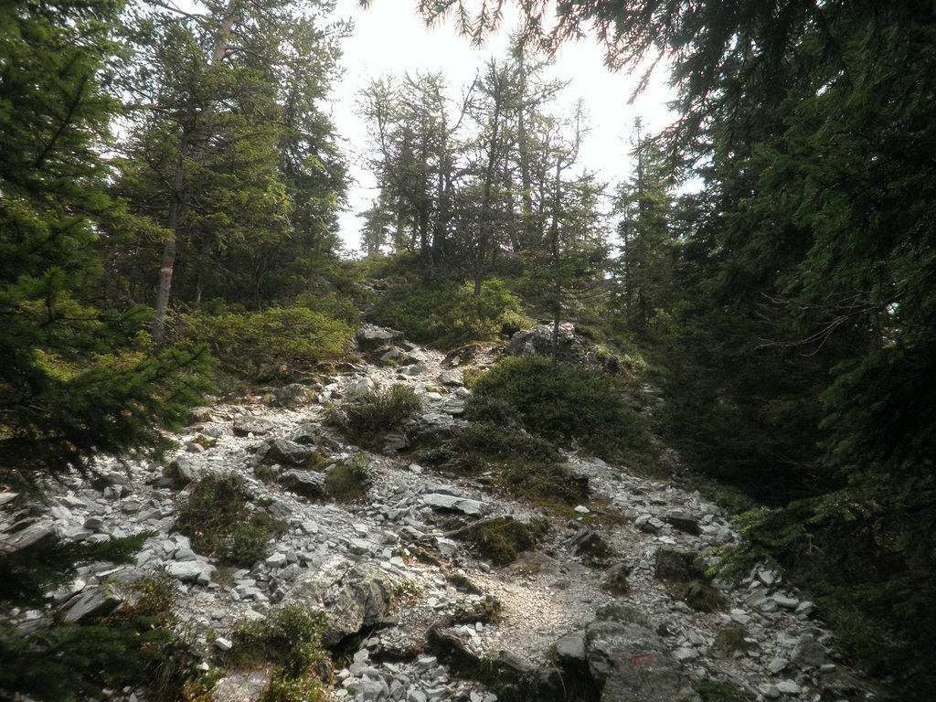P9030006.JPG