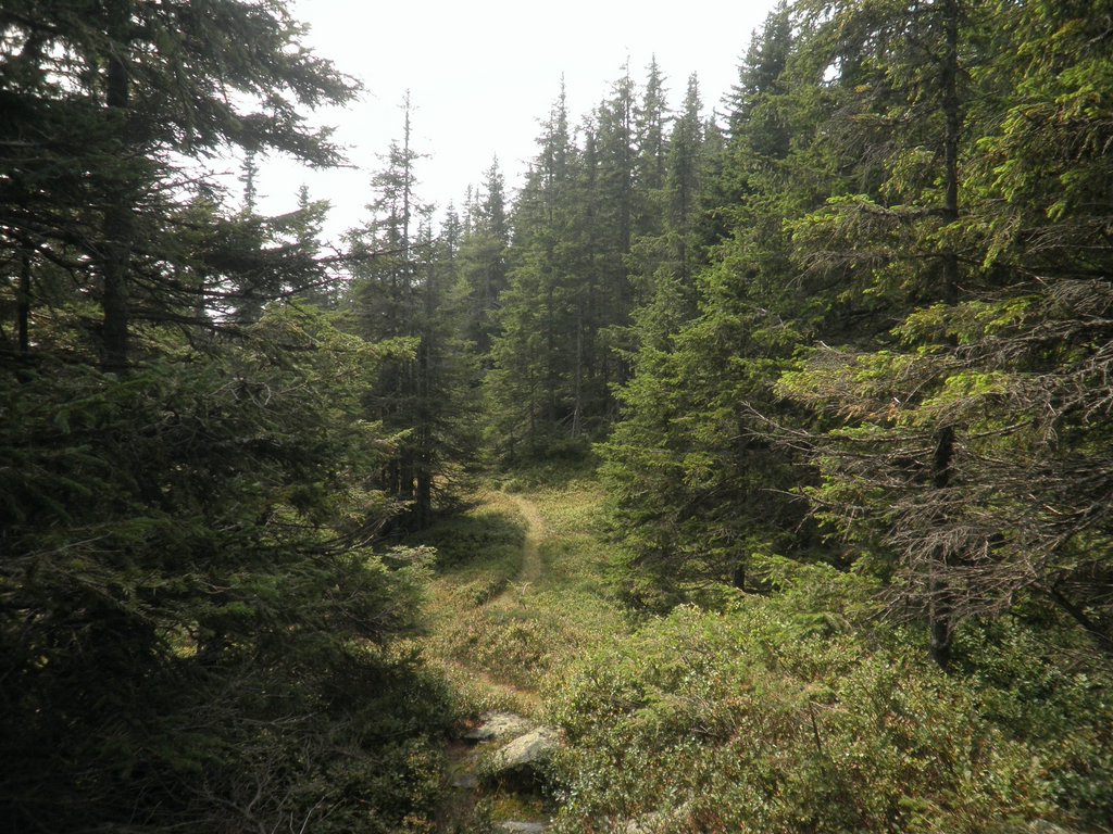 P9030007.JPG