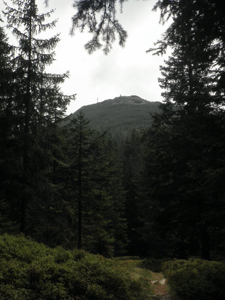 P9030014.JPG