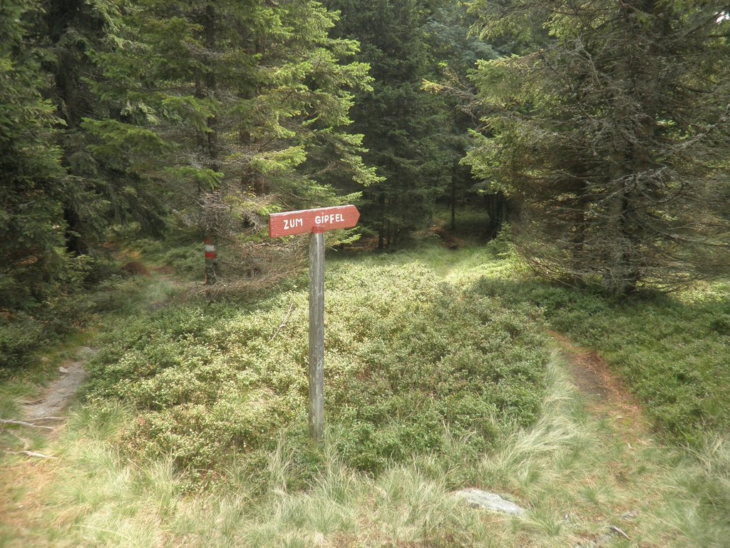 P9030016.JPG