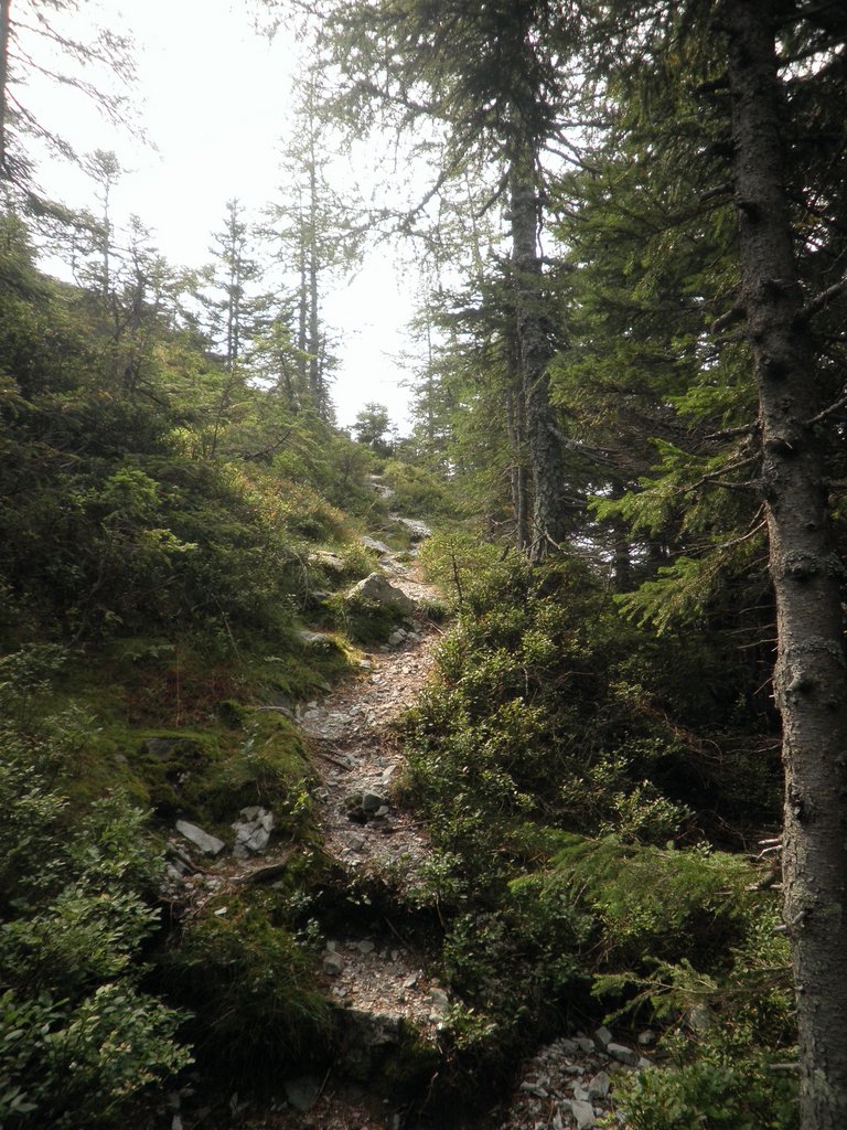 P9030017.JPG