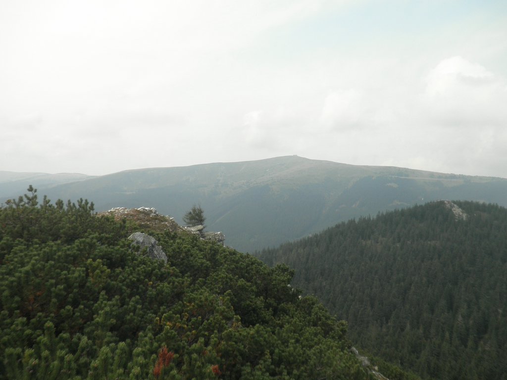 P9030022.JPG