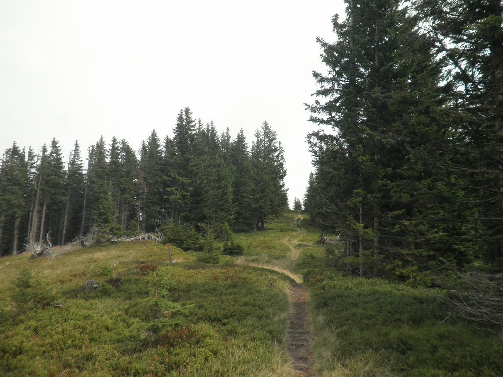P9030030.JPG