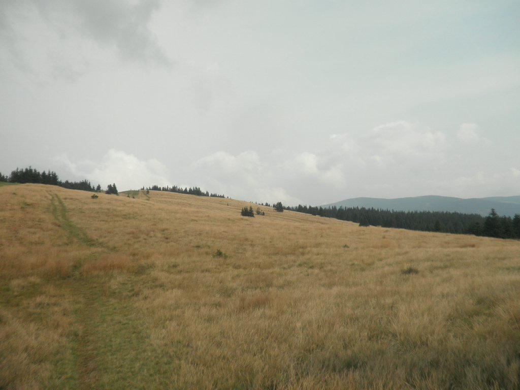 P9030031.JPG