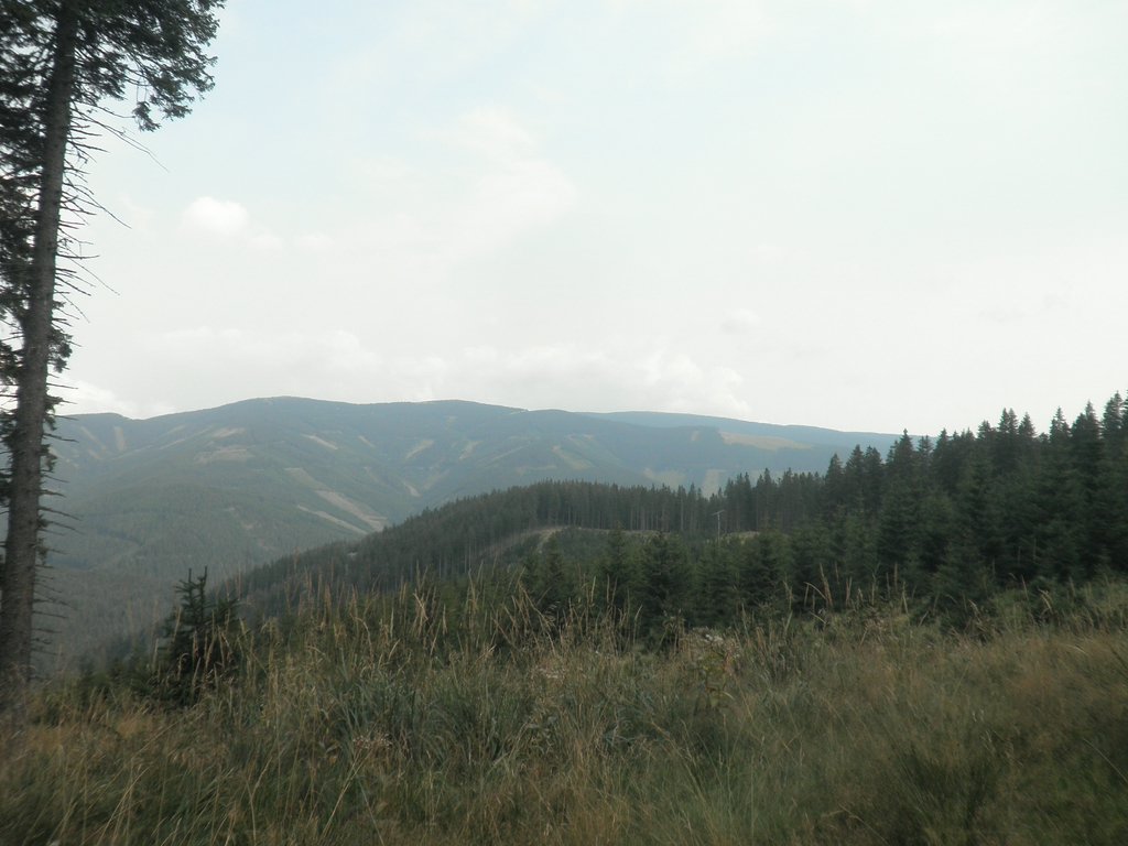 P9030037.JPG