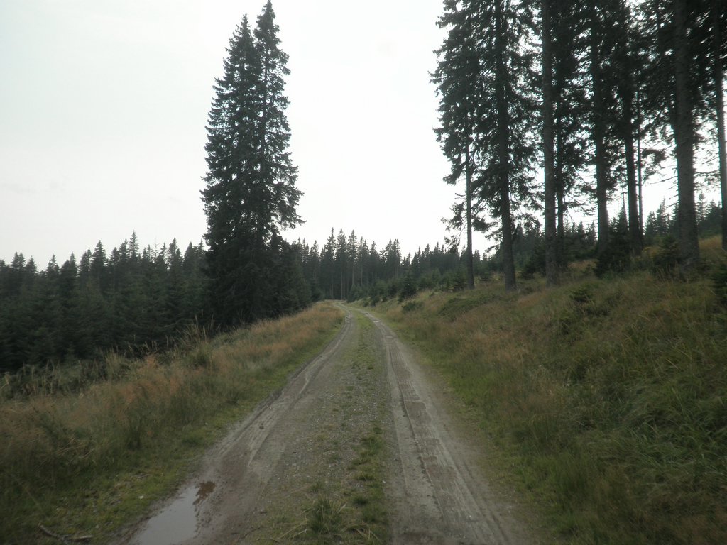P9030038.JPG