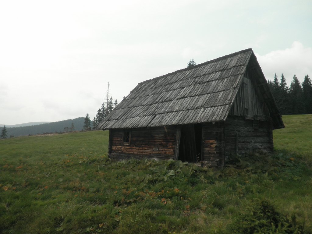 P9030039.JPG