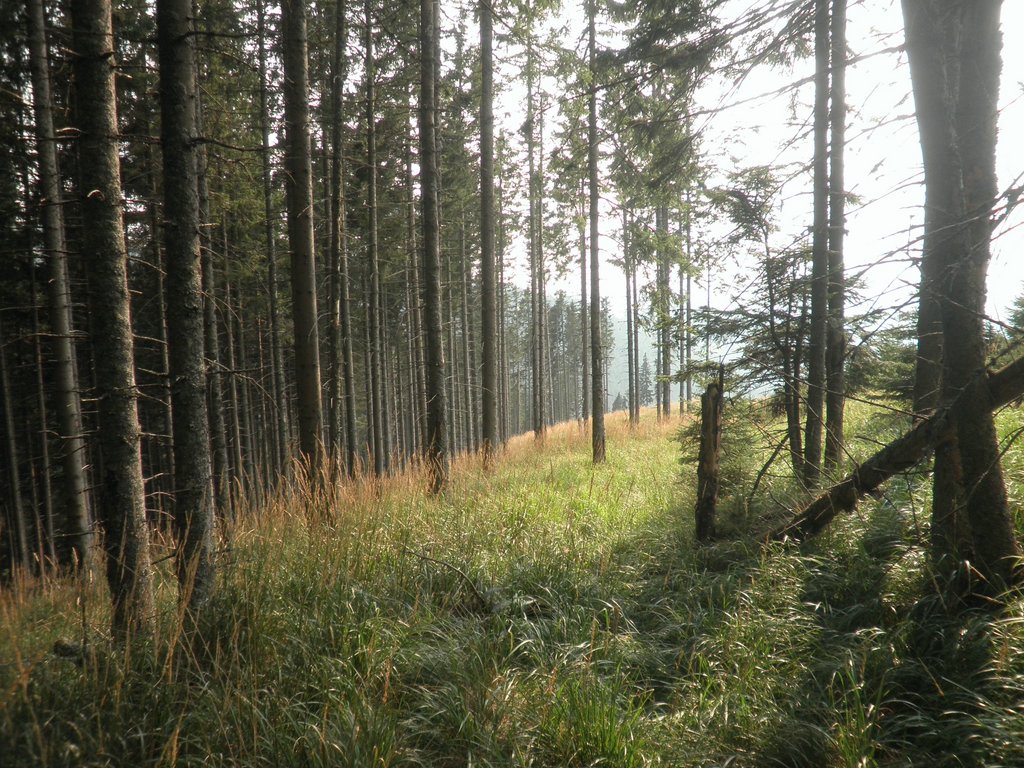 P9030041.JPG