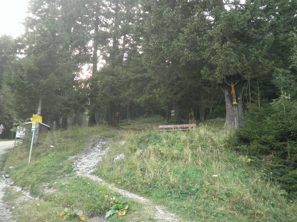 P9030051.JPG