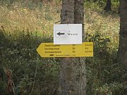 P9030003.JPG