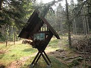 P9030004.JPG