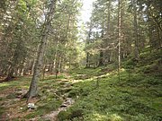 P9030005.JPG
