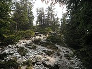 P9030006.JPG