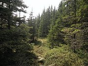 P9030007.JPG