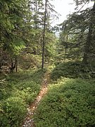 P9030013.JPG