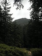 P9030014.JPG