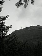 P9030015.JPG