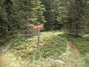 P9030016.JPG
