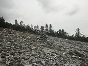 P9030019.JPG