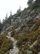 P9030027.JPG