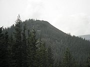 P9030029.JPG