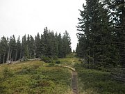 P9030030.JPG