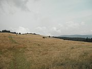 P9030031.JPG