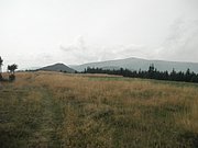 P9030034.JPG