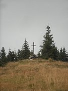 P9030035.JPG