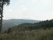 P9030037.JPG