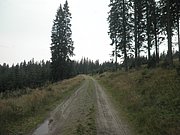P9030038.JPG