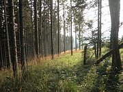 P9030041.JPG
