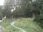 P9030051.JPG