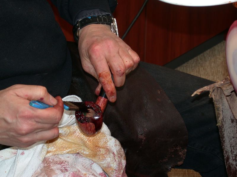 DSCN5172.JPG