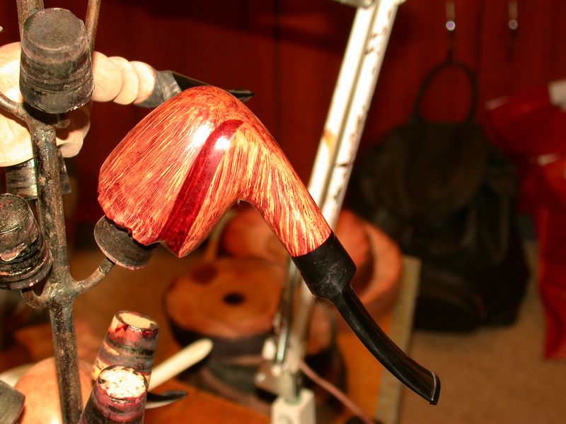 DSCN5176.JPG