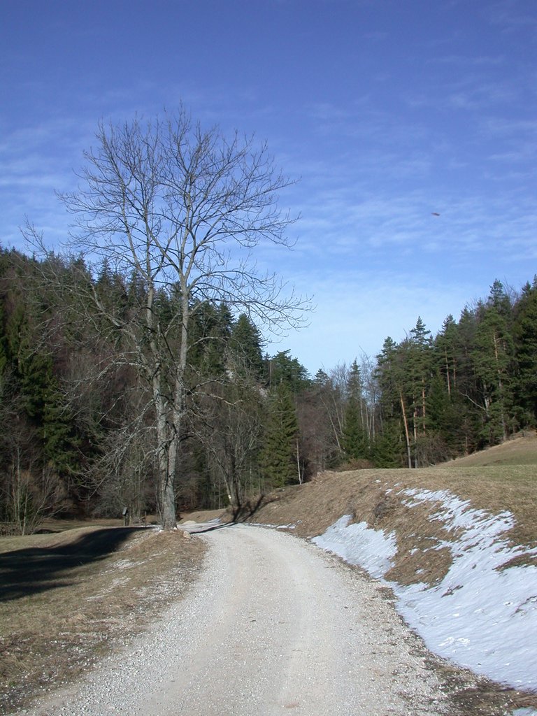 DSCN4416.JPG