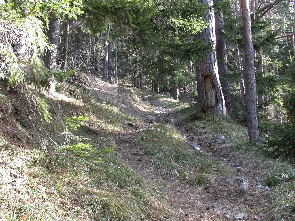 DSCN4420.JPG