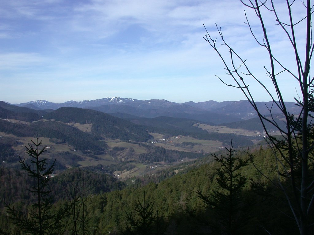 DSCN4422.JPG