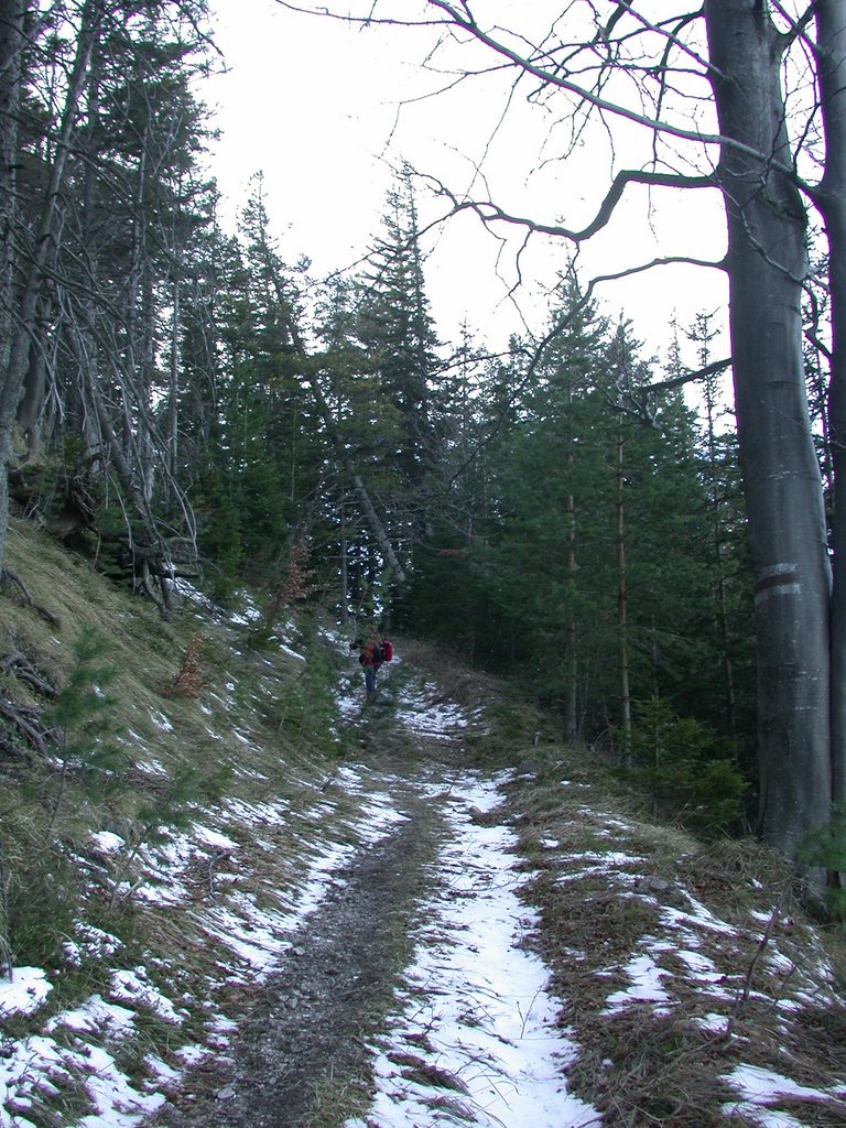 DSCN4426.JPG
