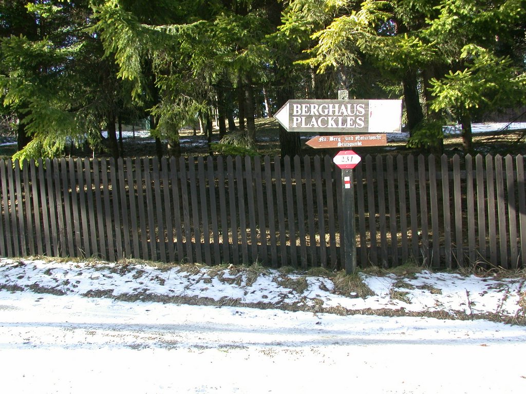 DSCN4430.JPG