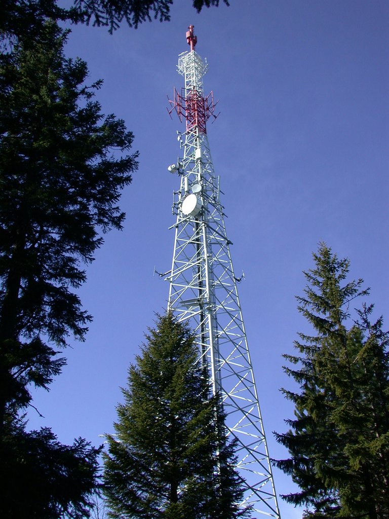 DSCN4435.JPG