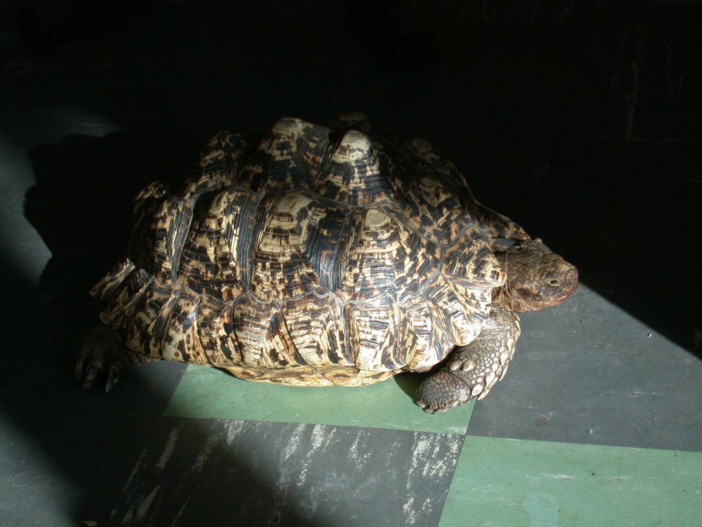 DSCN4441.JPG