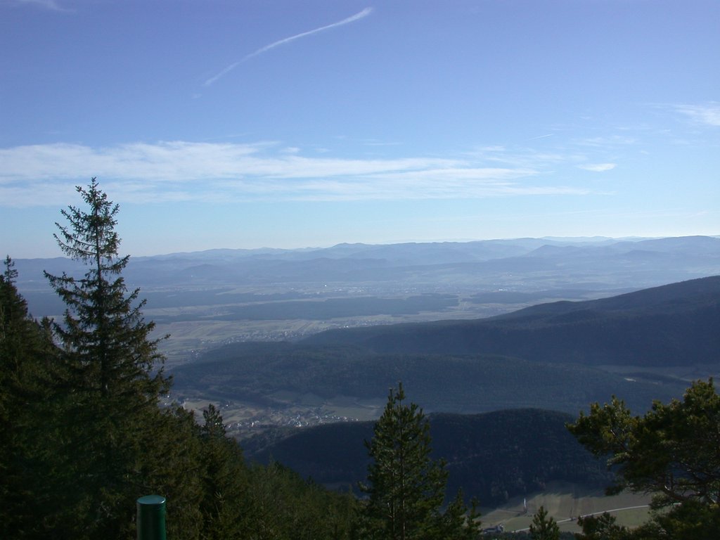 DSCN4444.JPG