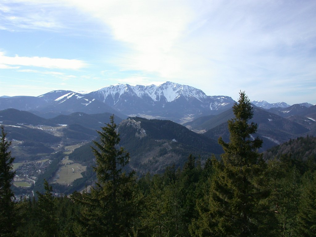 DSCN4445.JPG